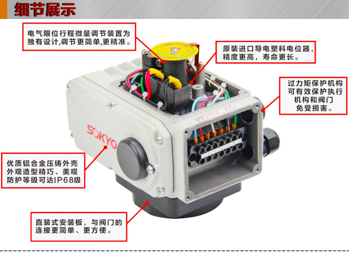  電動(dòng)執(zhí)行器,電動(dòng)頭,YTDG-RS50電動(dòng)執(zhí)行機(jī)構(gòu)細(xì)節(jié)圖1