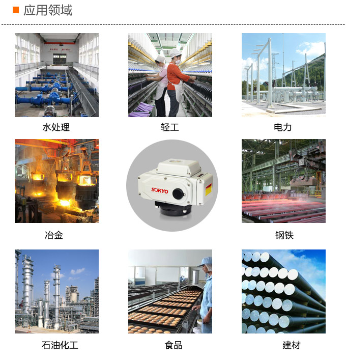 電動(dòng)執(zhí)行器,電動(dòng)頭,YTDG-RS100電動(dòng)執(zhí)行機(jī)構(gòu)應(yīng)用領(lǐng)域