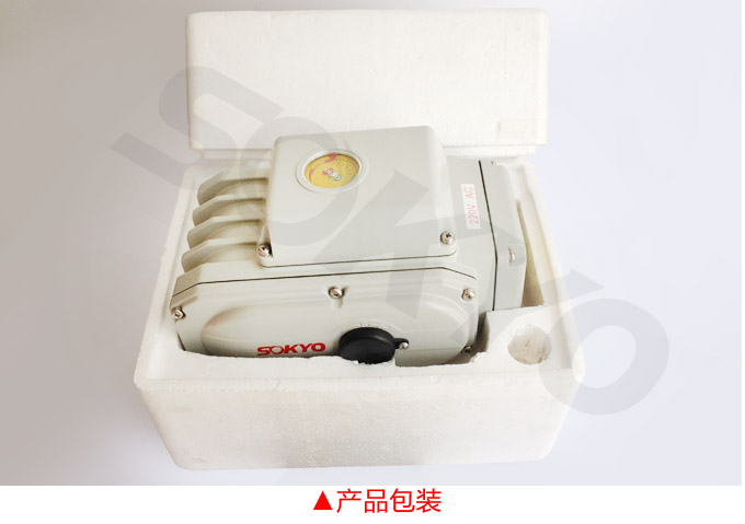 電動(dòng)執(zhí)行器,電動(dòng)頭,YTDG-RS50電動(dòng)執(zhí)行機(jī)構(gòu)產(chǎn)品包裝