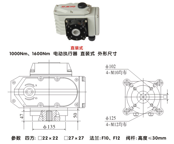 電動(dòng)執(zhí)行器,電動(dòng)頭,YTDG-RS1600電動(dòng)執(zhí)行機(jī)構(gòu)結(jié)構(gòu)圖,直裝式