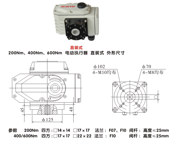 電動(dòng)執(zhí)行器,電動(dòng)頭,YTDG-RS200電動(dòng)執(zhí)行機(jī)構(gòu)結(jié)構(gòu)圖,直裝式