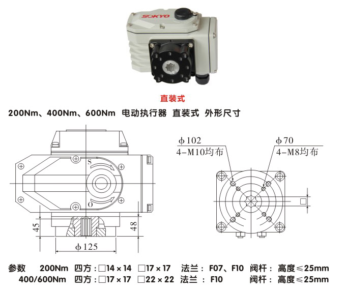 電動執(zhí)行機(jī)構(gòu),YTDG-RKB200電動執(zhí)行器,電動頭結(jié)構(gòu)圖,直裝式