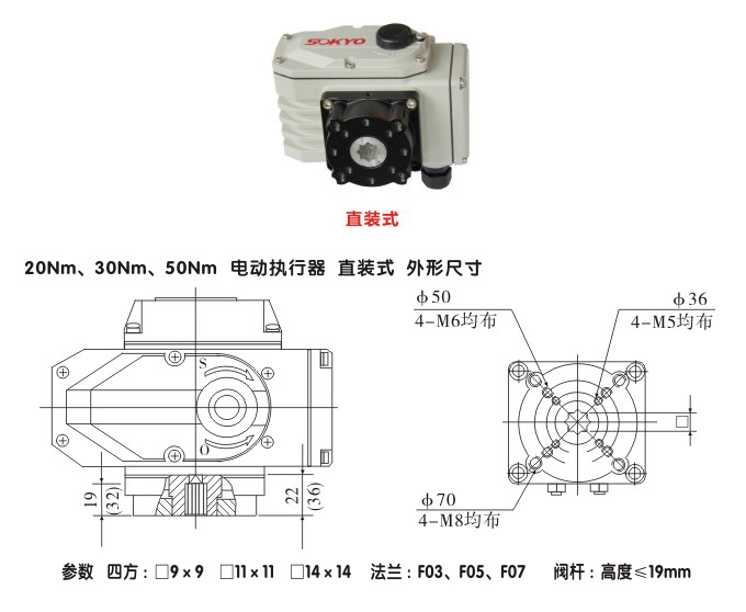 電動執(zhí)行機(jī)構(gòu),YTDG-RKB50電動執(zhí)行器,電動頭結(jié)構(gòu)圖,直裝式