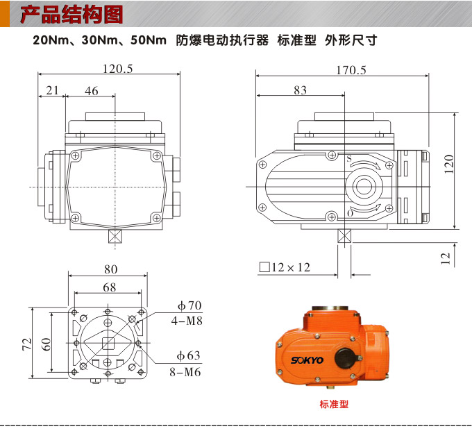 防爆電動(dòng)頭,YTEx-RS50防爆電動(dòng)執(zhí)行器結(jié)構(gòu)圖,標(biāo)準(zhǔn)式