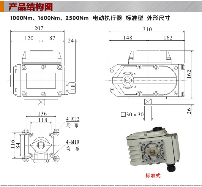 智能電動執(zhí)行器,YTDZ-RS2500智能電動執(zhí)行機構結構圖,標準式