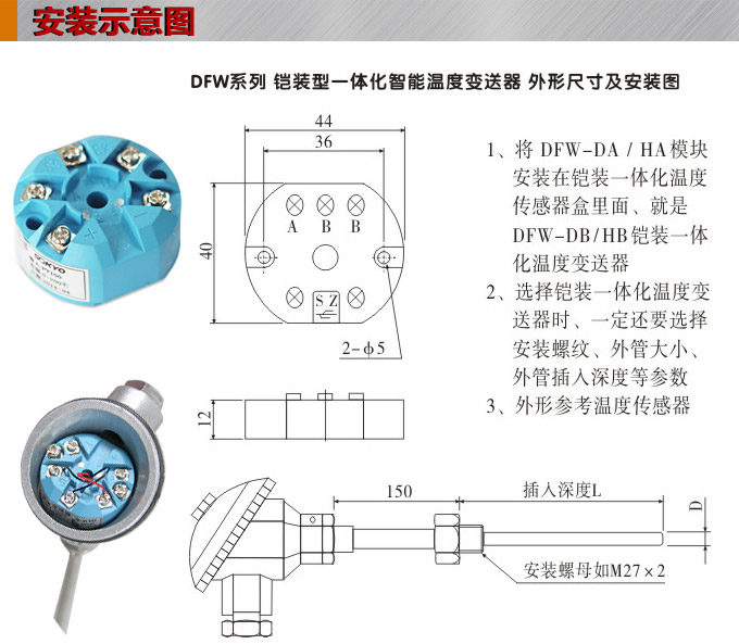 溫度變送器模塊,DFW高精度溫度變送器,溫度變送器安裝示意圖